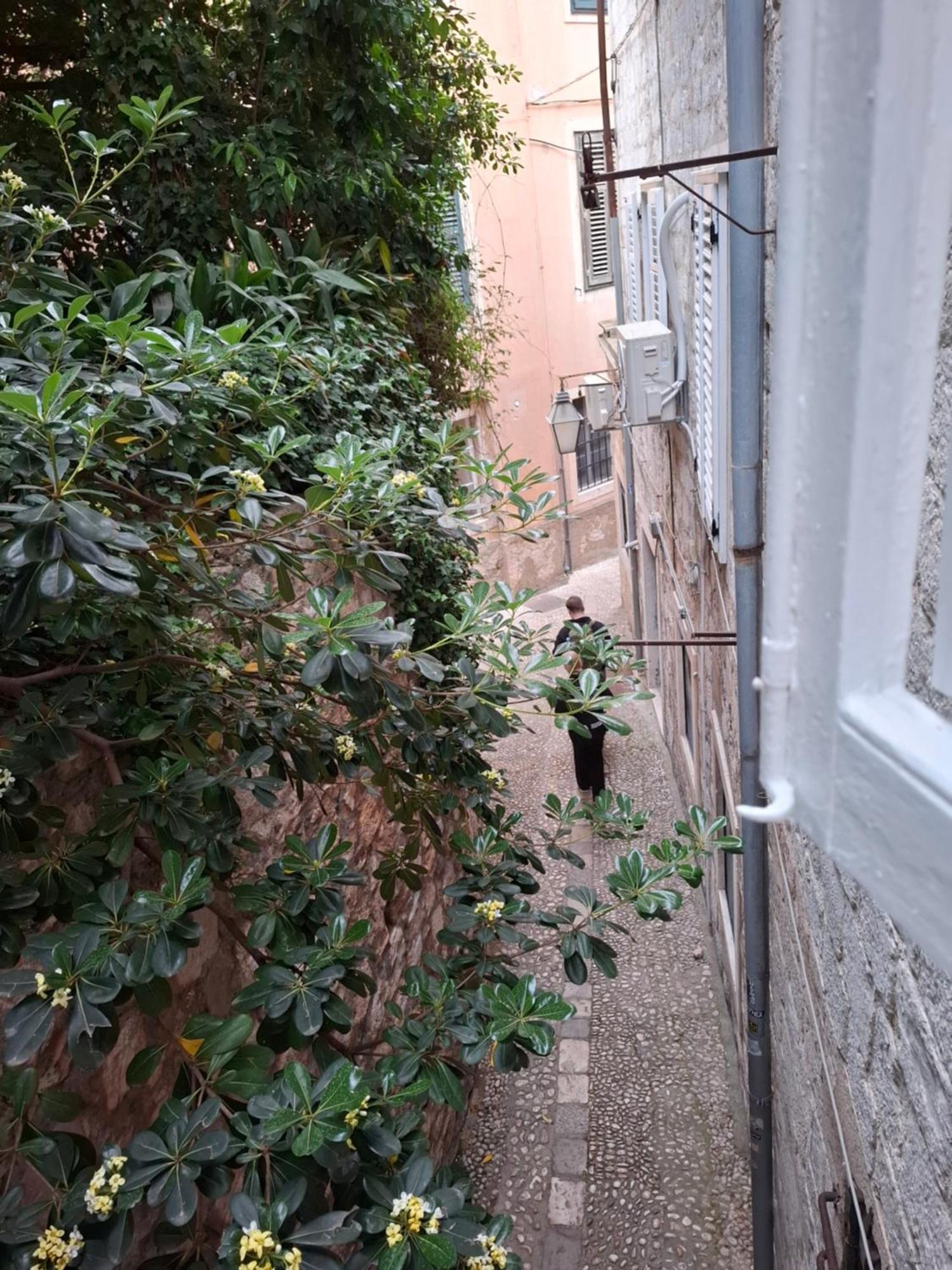 Studio Ella Dubrovnik Kültér fotó